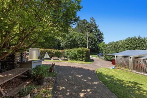 Photo of property in 159 Pongakawa Valley Road, Lake Rotoma, Rotorua, 3074