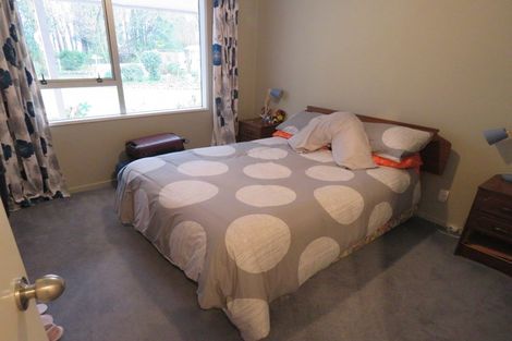 Photo of property in 163 Wards Road, Chertsey, Ashburton, 7772