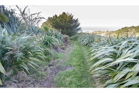 Photo of property in 292p Cathedral Road, Domett, Cheviot, 7383