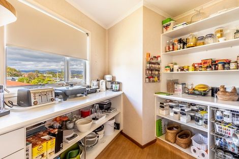 Photo of property in 19 Lemon Street, Otaki, 5512