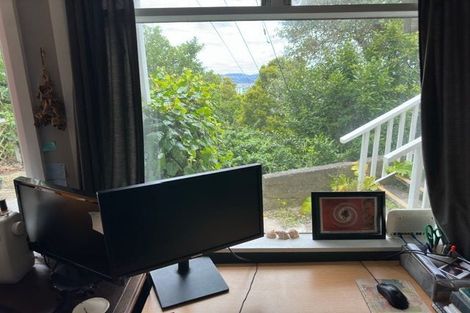 Photo of property in 59 Hankey Street, Mount Cook, Wellington, 6011