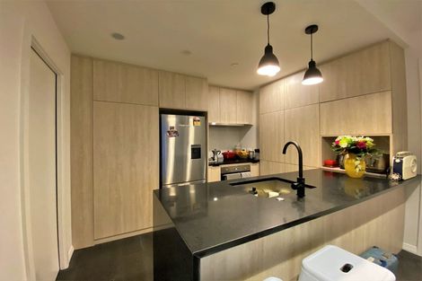 Photo of property in 614/8 Kingsland Terrace, Kingsland, Auckland, 1021