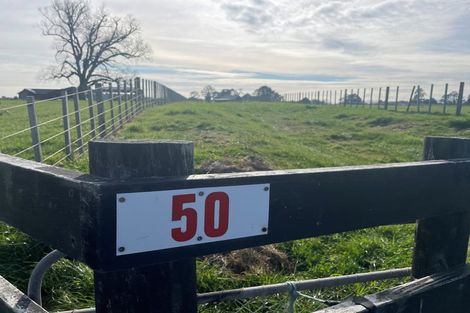 Photo of property in 601 Makarau Road, Makarau, Kaukapakapa, 0873