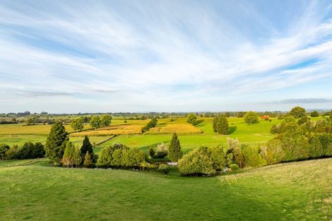 Photo of property in 624 Ryburn Road, Ohaupo, 3883