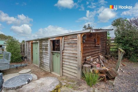 Photo of property in 19 Skerries Street, Outram, 9019