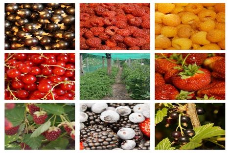 Photo of property in 4 Farndon Road, Clive, 4102