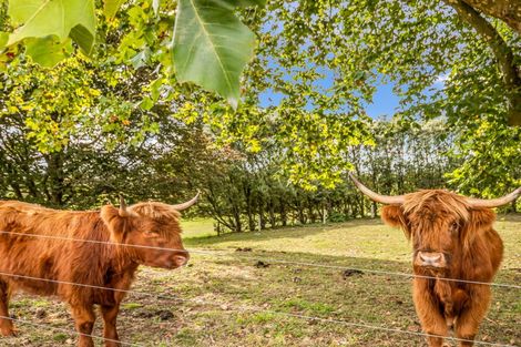 Photo of property in 4683 Ohaupo Road, Ohaupo, 3883