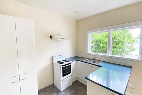 Photo of property in 15 Wiremu Street, Mount Eden, Auckland, 1041