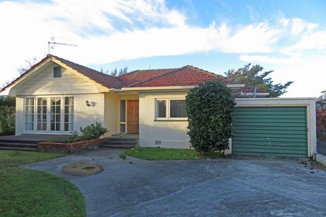 Photo of property in 41 Collingwood Street, Hokowhitu, Palmerston North, 4410