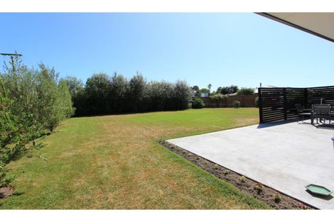 Photo of property in 14 Mcisaac Place, Renwick, 7204