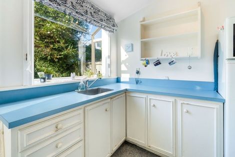 Photo of property in 21 Baldwin Street, North East Valley, Dunedin, 9010