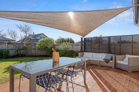 Photo of property in 206 Maxwell Road, Redwoodtown, Blenheim, 7201