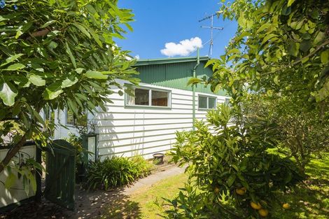 Photo of property in 11a Victoria Street, Te Hapara, Gisborne, 4010