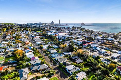Photo of property in 19 Gaine Street, New Plymouth, 4310