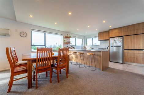 Photo of property in 91 Gleniti Road, Gleniti, Timaru, 7910