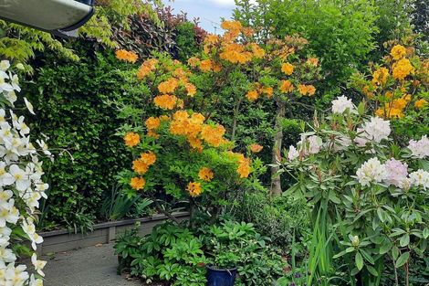 Photo of property in 16 Kensington Avenue, Rangiora, 7400