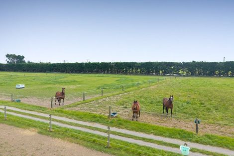 Photo of property in 690 Depot Road, Burnt Hill, Oxford, 7495