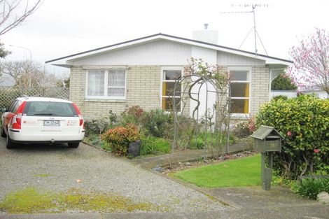 Photo of property in 56 Featherston Street, Levin, 5510