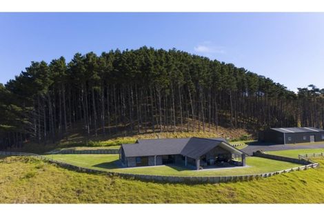 Photo of property in 63 Aldred Road, Karioitahi, Waiuku, 2683