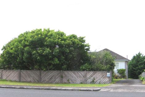 Photo of property in 74 Oakdale Road, Mount Roskill, Auckland, 1041