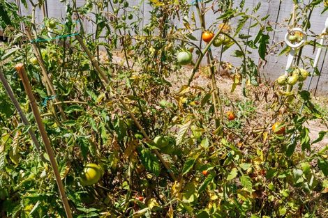 Photo of property in 37 Bryant Street, Takaro, Palmerston North, 4412