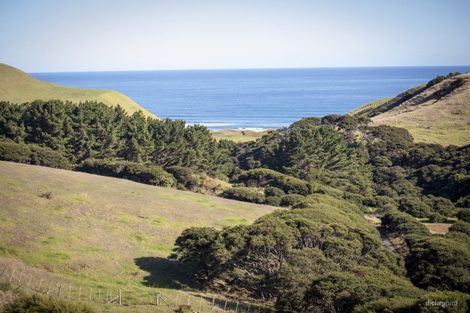 Photo of property in 1517 Whaanga Road, Raglan, 3296