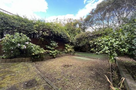 Photo of property in 7 Carrington Street, Mount Cook, Wellington, 6021