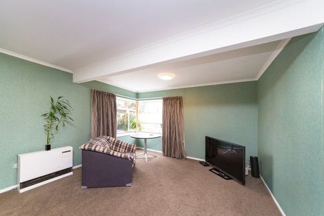 Photo of property in 119a Maxwells Line, Awapuni, Palmerston North, 4412