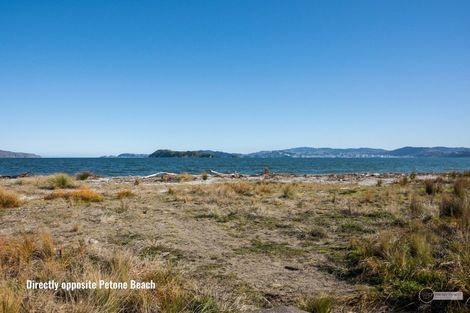 Photo of property in 231 The Esplanade, Petone, Lower Hutt, 5012
