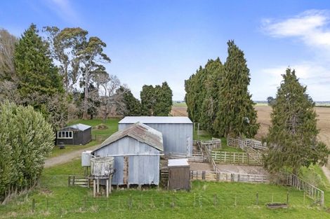 Photo of property in 352 Jeffersons Line, Marton, 4788