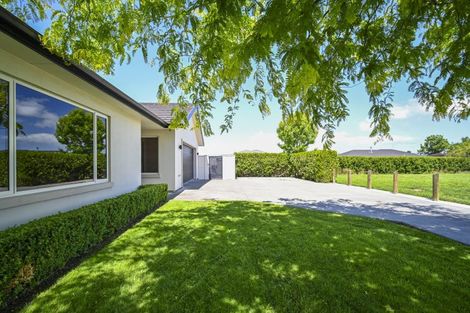 Photo of property in 55 Northwood Avenue, Mahora, Hastings, 4120