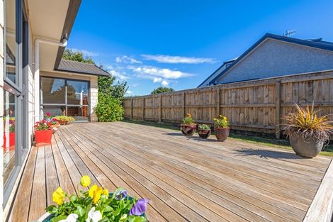 Photo of property in 19a Manson Street, Terrace End, Palmerston North, 4410