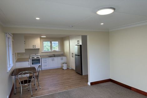 Photo of property in 509 South Road, Calton Hill, Dunedin, 9012