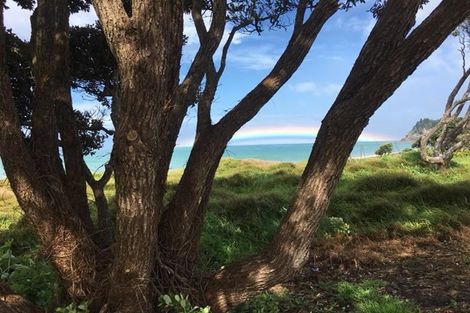 Photo of property in 24 Marlin Place, Whiritoa, Whangamata, 3691