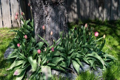 Photo of property in 87 Mcdonnell Road, Arrowtown, 9302