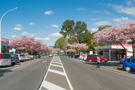 Photo of property in 2 Condor Drive, Pyes Pa, Tauranga, 3112