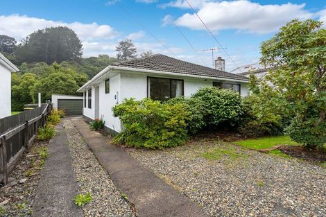 Photo of property in 24a Woodhaugh Street, Woodhaugh, Dunedin, 9010