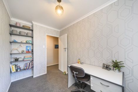 Photo of property in 21 Mokau Place, Terrace End, Palmerston North, 4410