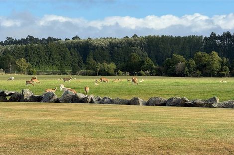 Photo of property in 18 Meadowlinks Lane, Pleasant Point, 7974