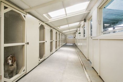 Photo of property in 381 Waihi Beach Road, Waihi, 3681