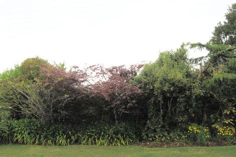 Photo of property in 10 Sedgewick Road, Opotiki, 3122