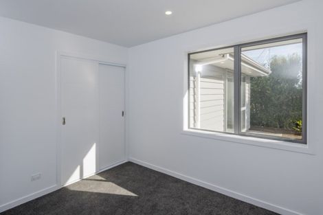 Photo of property in 25 Barry Curtis Place, Levin, 5510