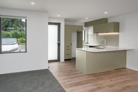 Photo of property in 474a Barrington Street, Addington, Christchurch, 8024