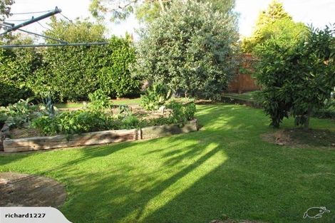 Photo of property in 16 Beech Crescent, Hillcrest, Hamilton, 3216