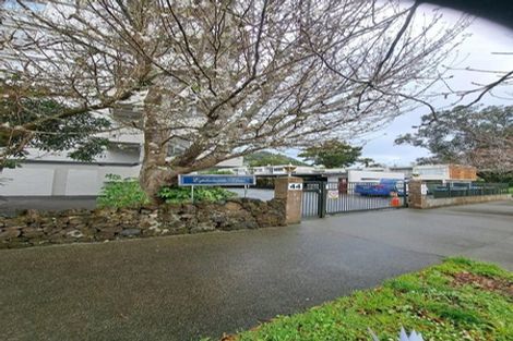 Photo of property in 1/44 Esplanade Road, Mount Eden, Auckland, 1024