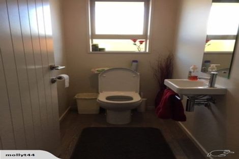 Photo of property in 16 Magnate Drive, Kaiapoi, 7630