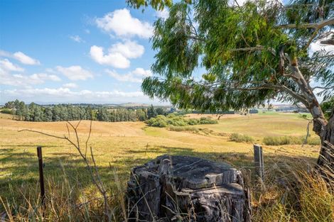 Photo of property in 221 Ardgowan Road, Ardgowan, Oamaru, 9492