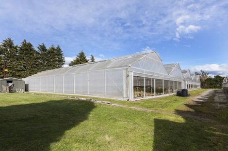 Photo of property in 39 Golf Links Road, Rangiora, 7473