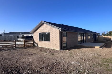 Photo of property in 119b Churcher Street, Feilding, 4702