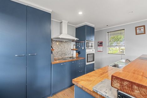 Photo of property in 273 Ashlea Road, Opiki, Palmerston North, 4474